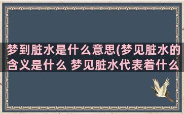 梦到脏水是什么意思(梦见脏水的含义是什么 梦见脏水代表着什么)